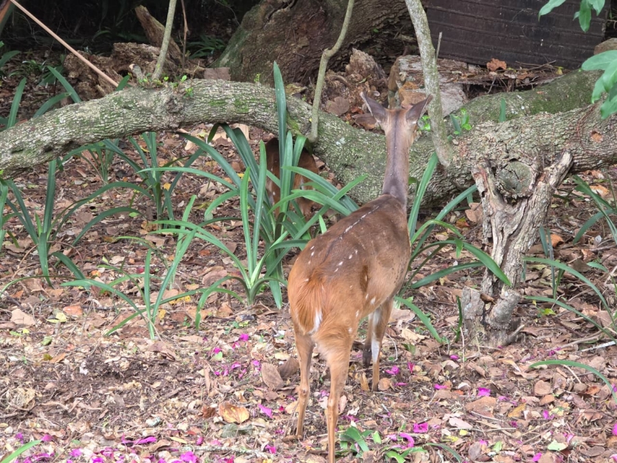 2 Bedroom Property for Sale in Brenton On Lake Western Cape